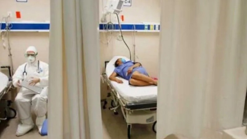 Confirman la primera muerte humana por gripe aviar en el mundo
